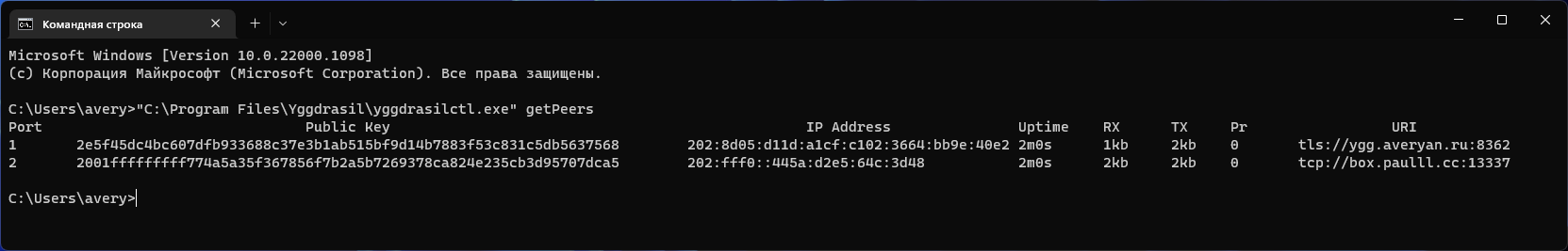 Running yggdrasilctl getPeers in Command Prompt