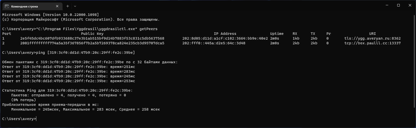 Running ping to test Yggdrasil functionality