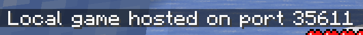 Local Minecraft server port