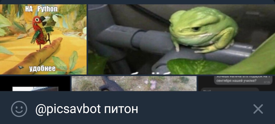 Searching the meme “it’s more convenient in Python” with the Telegram bot @picsavbot