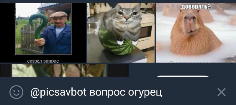 Featured image of post PicSavBot: a bot for saving and searching images